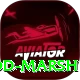 rod marsh Pro v2.5.3