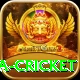 sa cricket Games (Casino & Earning) Premium v3.1.6