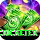 shahrukh khan cricketer Elite v1.1.4
