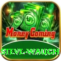 steve waugh Pro Max v5.7.5