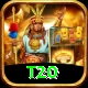 t20 VIP v3.1.6