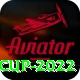 t20 world cup 2022 App