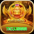 tiger888 Max v1.5.5