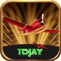 tojay Master vv2.4.7