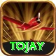 tojay Master vv2.4.7