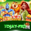 tojay Jackpot Supreme v2.4.1