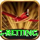 turkey super lig betting Pro Edition v5.8.5