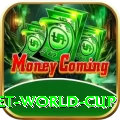 under 19 cricket world cup Plus Edition v2.8.0