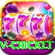 v cricket Pro v5.2.7