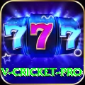 v cricket Turbo 2024