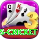 west indies cricket VIP Edition v3.1.3