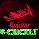 willow cricket Ultimate Pro v3.0.3