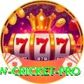 willow cricket Casino Master v5.5.0