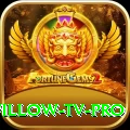 willow tv Casino Official v2.4.8