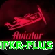 winpkr Turbo Pro v4.8.5